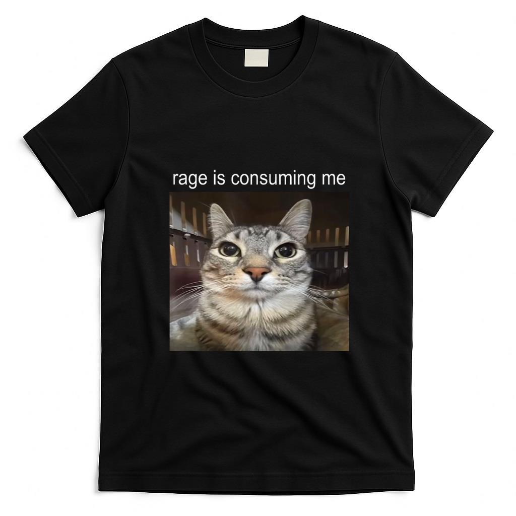 Funny Tees - Rage Is Consuming Me Silly Staring Cat Meme T-Shirt