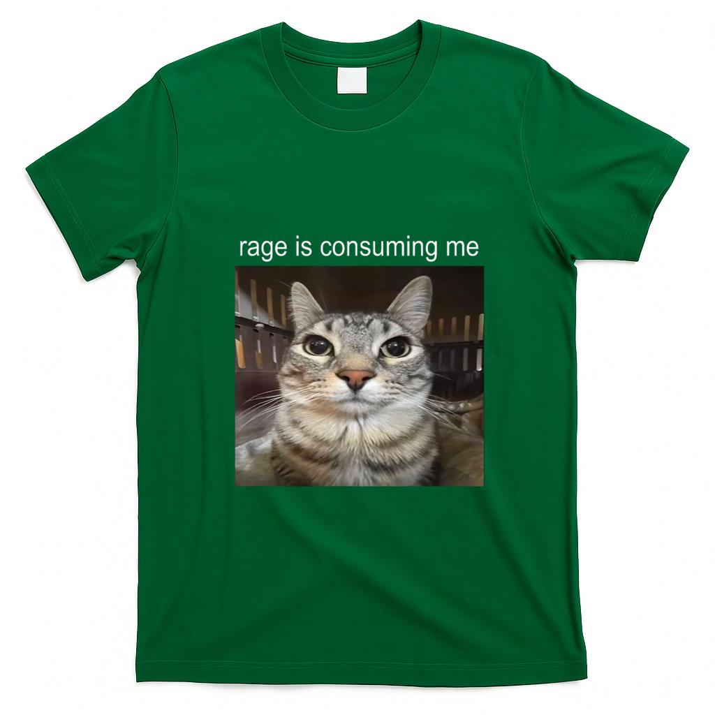 Funny Tees - Rage Is Consuming Me Silly Staring Cat Meme T-Shirt