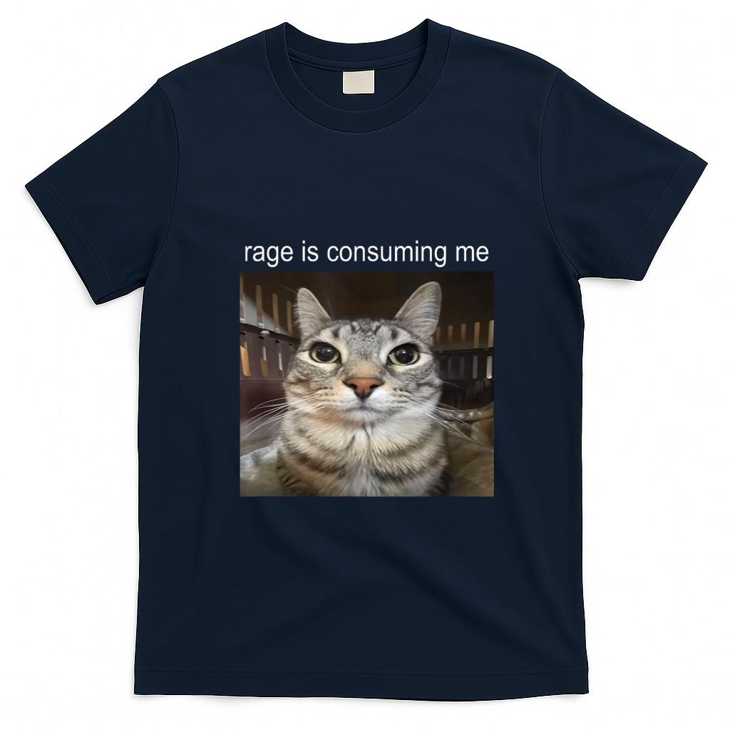 Funny Tees - Rage Is Consuming Me Silly Staring Cat Meme T-Shirt
