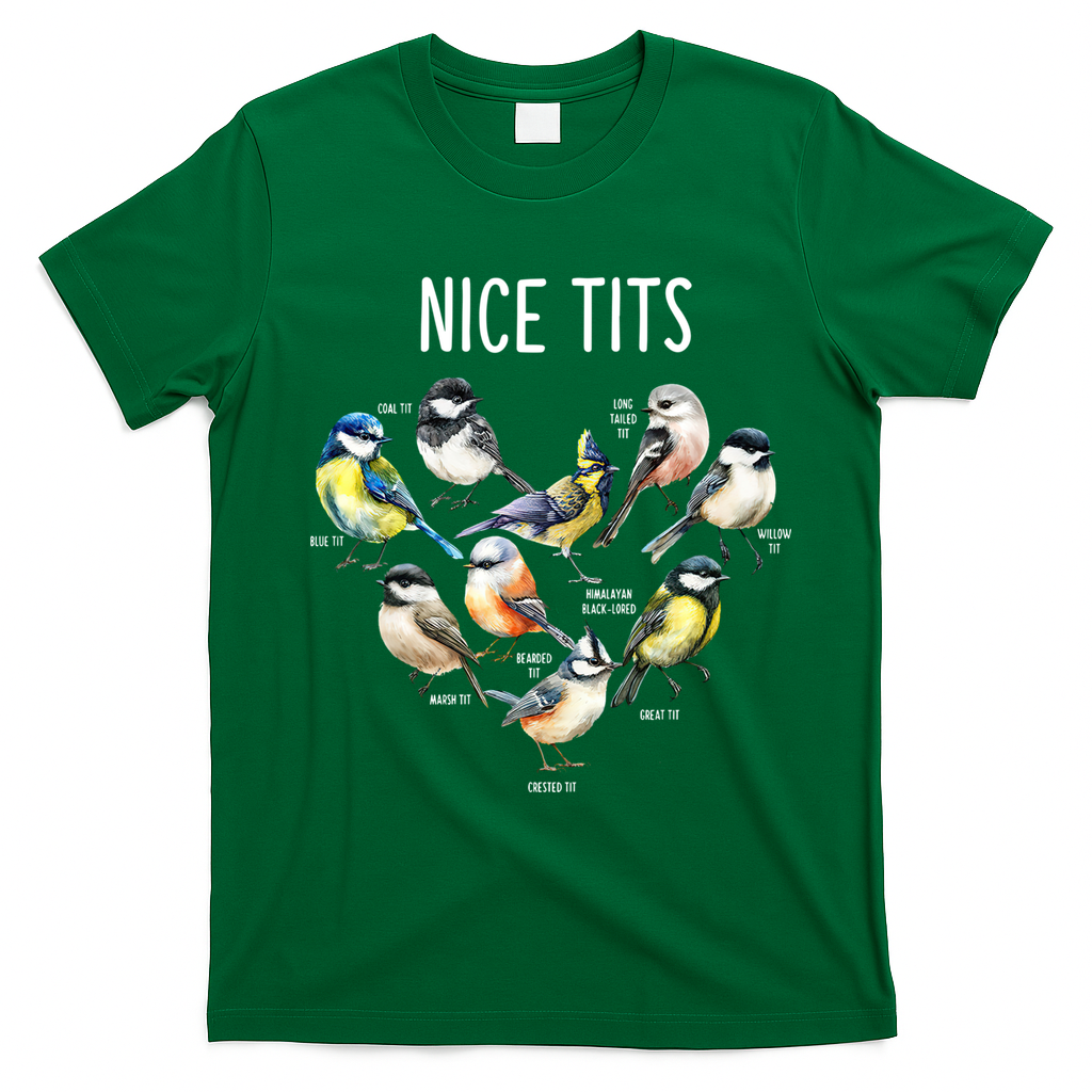 Retro Funny Nice Tits Birds Birdwatcher Bird Watching Humor Gift T-Shirt - Irish Green